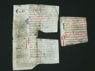 Rare Medieval Vellum Canon Law Manuscript Fragments,  Italy (bologna),  C.  1300