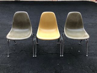 Herman Miller Eames Fiberglass Shell Side Chairs With Labels