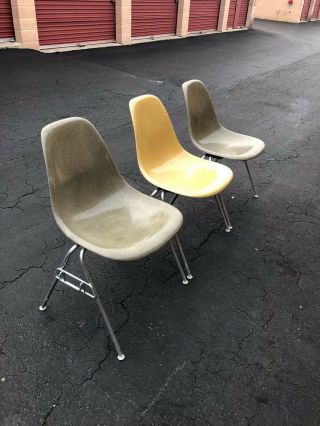 Herman Miller Eames Fiberglass Shell Side Chairs with Labels 2