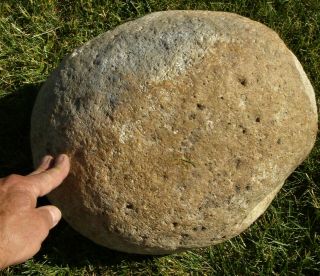 MORTAR & PESTLE,  57,  lbs; MASSIVE,  CATALINA ISLAND,  S.  CA (A RALPH GLIDDEN FIND) 11