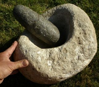 MORTAR & PESTLE,  57,  lbs; MASSIVE,  CATALINA ISLAND,  S.  CA (A RALPH GLIDDEN FIND) 5