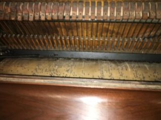 Antique Barrel Piano Nickelodeon Coin Op Tomasso & Son 8