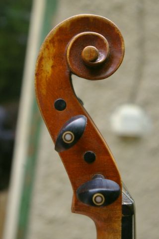 Interesting Viola 40,  2cm body (15,  8 