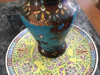 Antique Chinese Ming? Cloisonné Turquoise Brass enamel vase Rare bird 10