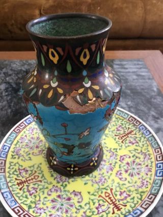 Antique Chinese Ming? Cloisonné Turquoise Brass enamel vase Rare bird 7