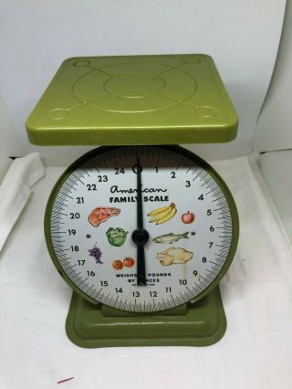 Vintage American Family Scale Old Farm 25 Lb Metal & Plastic Kitchen Scale Green