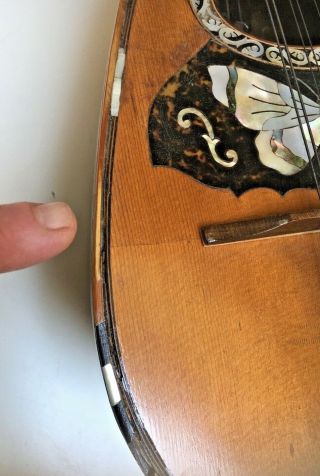 Antique Banded Rosewood Mandolin Mother of Pearl,  tortoise Butterfly inlay 10