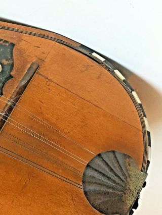 Antique Banded Rosewood Mandolin Mother of Pearl,  tortoise Butterfly inlay 12