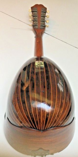 Antique Banded Rosewood Mandolin Mother of Pearl,  tortoise Butterfly inlay 2