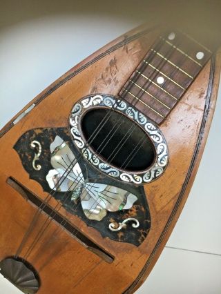 Antique Banded Rosewood Mandolin Mother of Pearl,  tortoise Butterfly inlay 3