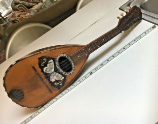 Antique Banded Rosewood Mandolin Mother of Pearl,  tortoise Butterfly inlay 6