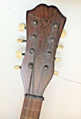 Antique Banded Rosewood Mandolin Mother of Pearl,  tortoise Butterfly inlay 7