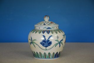 DELICATE ANTIQUE CHINESE DOUCAI PORCELAIN JAR MARKED TIAN RARE T2266 2