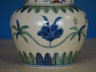 DELICATE ANTIQUE CHINESE DOUCAI PORCELAIN JAR MARKED TIAN RARE T2266 5