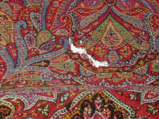Antique Sgnd Finely Embroidered Kashmiri Paisley Shawl - As Found 11