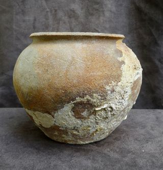 Roman Pottery Urn,  shipwreck find,  100 - 200 AD,  before Greece cost 4