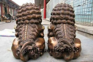 12 Chinese Bronze Copper Fengshui Evil Guardian Door Beast Fu Foo Dog Lion Pair 12