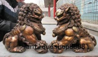 12 Chinese Bronze Copper Fengshui Evil Guardian Door Beast Fu Foo Dog Lion Pair 7