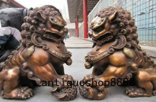 12 Chinese Bronze Copper Fengshui Evil Guardian Door Beast Fu Foo Dog Lion Pair 8