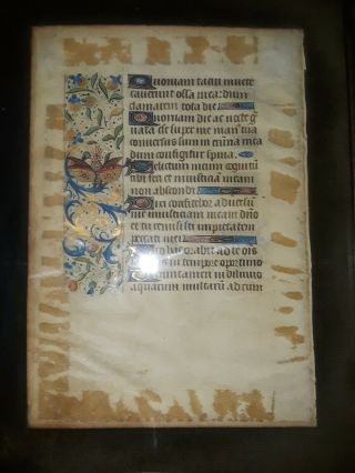 Antique Illustrated Manuscript Page Framed