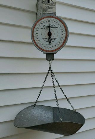 Vintage American Family Scale Co Chicago Il Hanging Scale Basket Store Produce