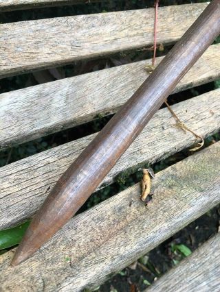 19th century Aboriginal Queensland fluted war club - Lovely Patina 3