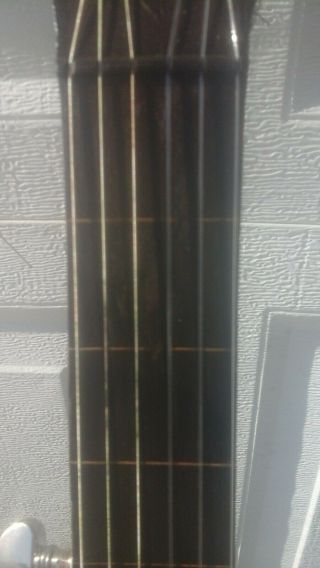 Antique 19th century Flush Fret 7 String Banjo (possibly a Buckbee) 3