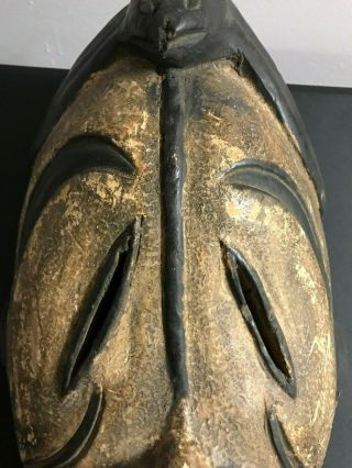 African Punu Tribal Mask (Gabon,  West Coast of Africa) 16.  5 