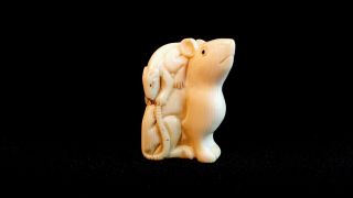 Detailed Hand Carved Japanese Bovine Bone Netsuke Mice Or Rats - Antique