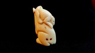 Detailed Hand Carved Japanese Bovine Bone Netsuke Mice or Rats - Antique 5