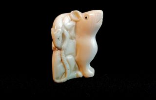 Detailed Hand Carved Japanese Bovine Bone Netsuke Mice or Rats - Antique 6
