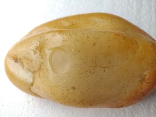 Chinese Natural White Jade Nephrite Big Specimen " Computer Mouse " Shape 570 G