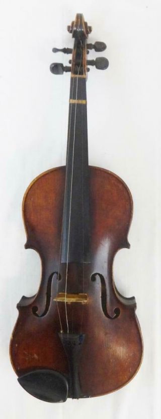 Antique American Violin,  Charles F.  Albert 1901 Bearing The Maker 