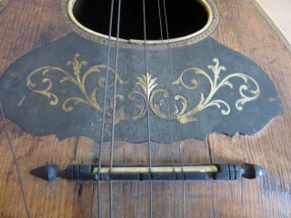 Antique Bowl back inlaid Mandolin guitar for restoration 12
