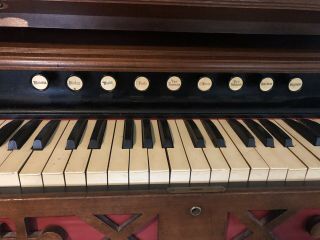 Antique Pump Organ 4