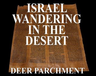 Torah Bible Vellum Manuscript Scroll Fragment/leaf 250 Yrs Yemen Deut 1:1 - 3:20