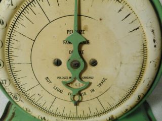 Antique Pelouze Family Scale Deluxe - Chippy Green Scale - Primitive 1900 ' s Scale 2