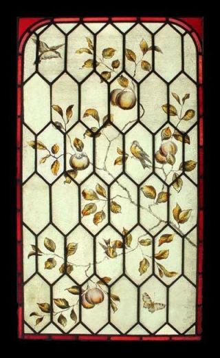 Rare Victorian Painted Botanical With Birds Antique English Stained Glass Window