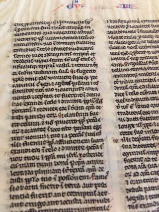 Masterful Medieval Illuminated Manuscript on Vellum,  700 Years Old,  Double Sided 3