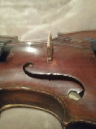 Hopf Violin 4/4 9