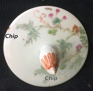 Chinese Famille Rose Porcelain 13.  50” Ginger Jar 12