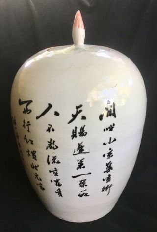 Chinese Famille Rose Porcelain 13.  50” Ginger Jar 5