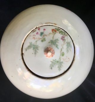 Chinese Famille Rose Porcelain 13.  50” Ginger Jar 8