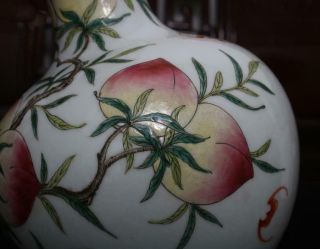 Old Rare Famille Rose Chinese Porcelain Peach Vase Qianlong MK H8.  27” 9