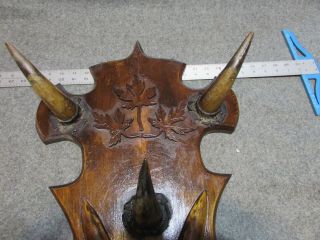 19thC Antique OLD WEST COW TOWN FOLK ART CATTLE HORN HAT RACK ARROW POINTS 6