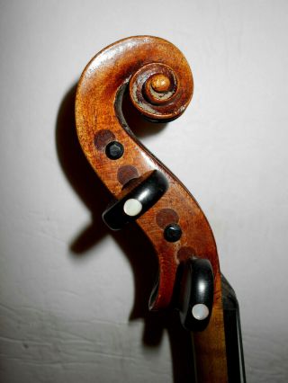 Old Antique Vintage " Antonio Loveri - Amatus " 1 Pc.  Back Full Size Violin