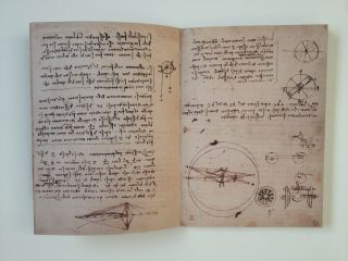 Codice Sul Volo Degli Uccelli CODEX ON THE FLIGHT OF BIRDS Leonardo da Vinci 5