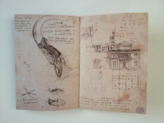 Codice Sul Volo Degli Uccelli CODEX ON THE FLIGHT OF BIRDS Leonardo da Vinci 6