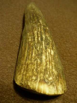 Old Cherokee Indian Horn Spoon Hand Carved Pre 1800 ' s North Carolina 4