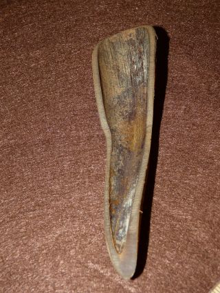 Old Cherokee Indian Horn Spoon Hand Carved Pre 1800 ' s North Carolina 6